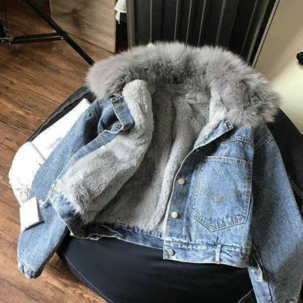 Crop Female Jeans Coat Padded Warm Short with Fur Plush Winter 2024 for Cold Women's Denim Jackets Small Wool Inside Outerwears - Image 4